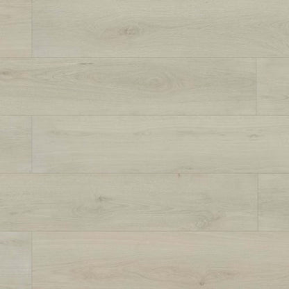 Evolved in Vega Laminate