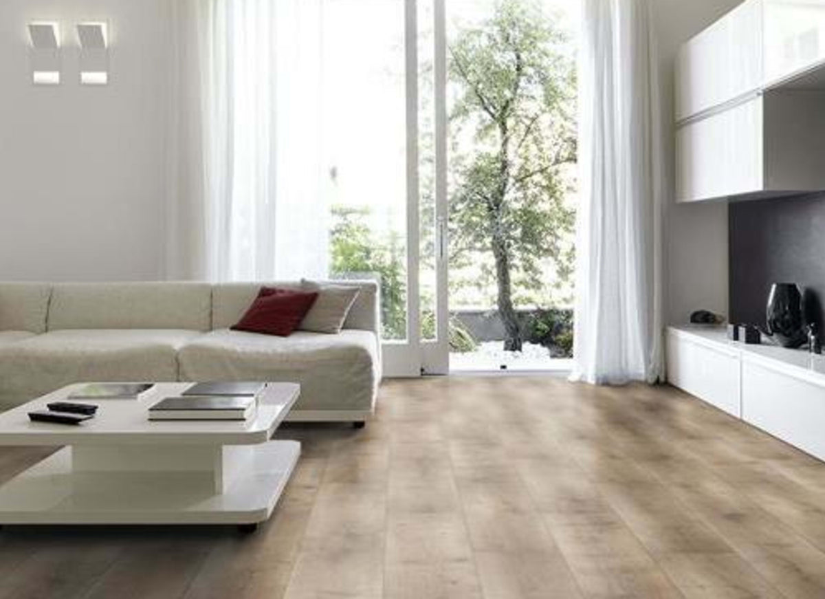 Dynamic II in 52531 Dark Brown