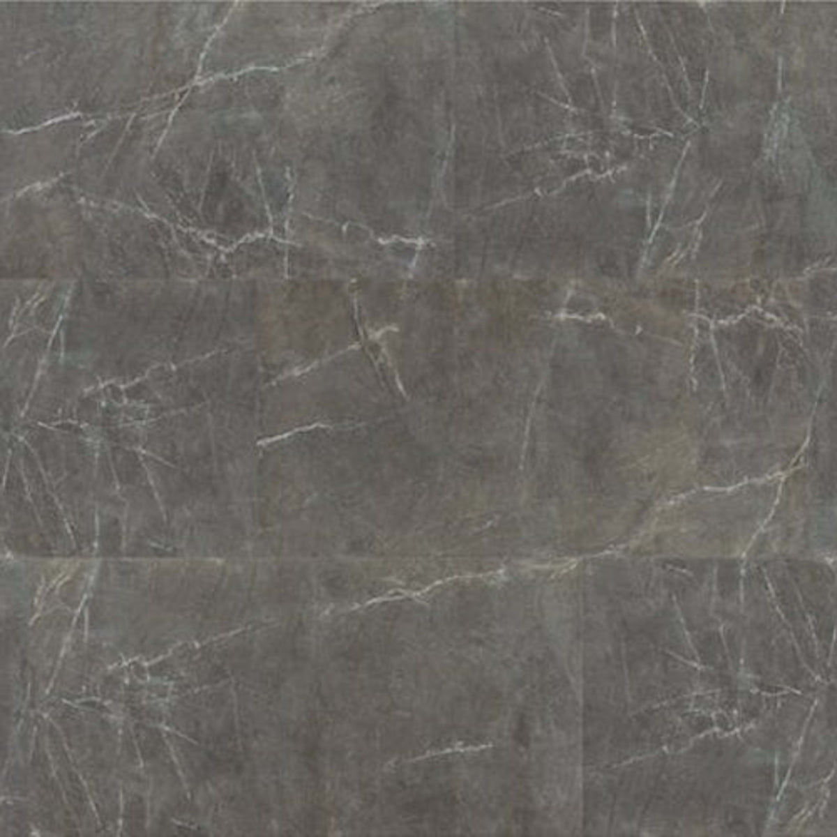 Evolved Elements  in Pietra Gray Laminate