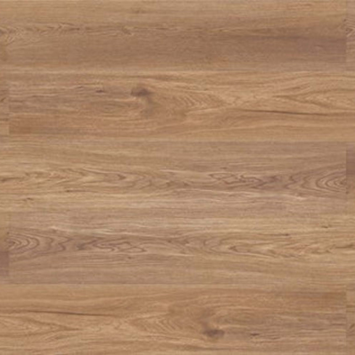 Evolved in Esler Xxl Laminate