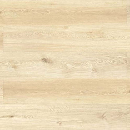 Evolved in Holmwood Xxl Laminate
