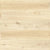 Evolved in Holmwood Xxl Laminate