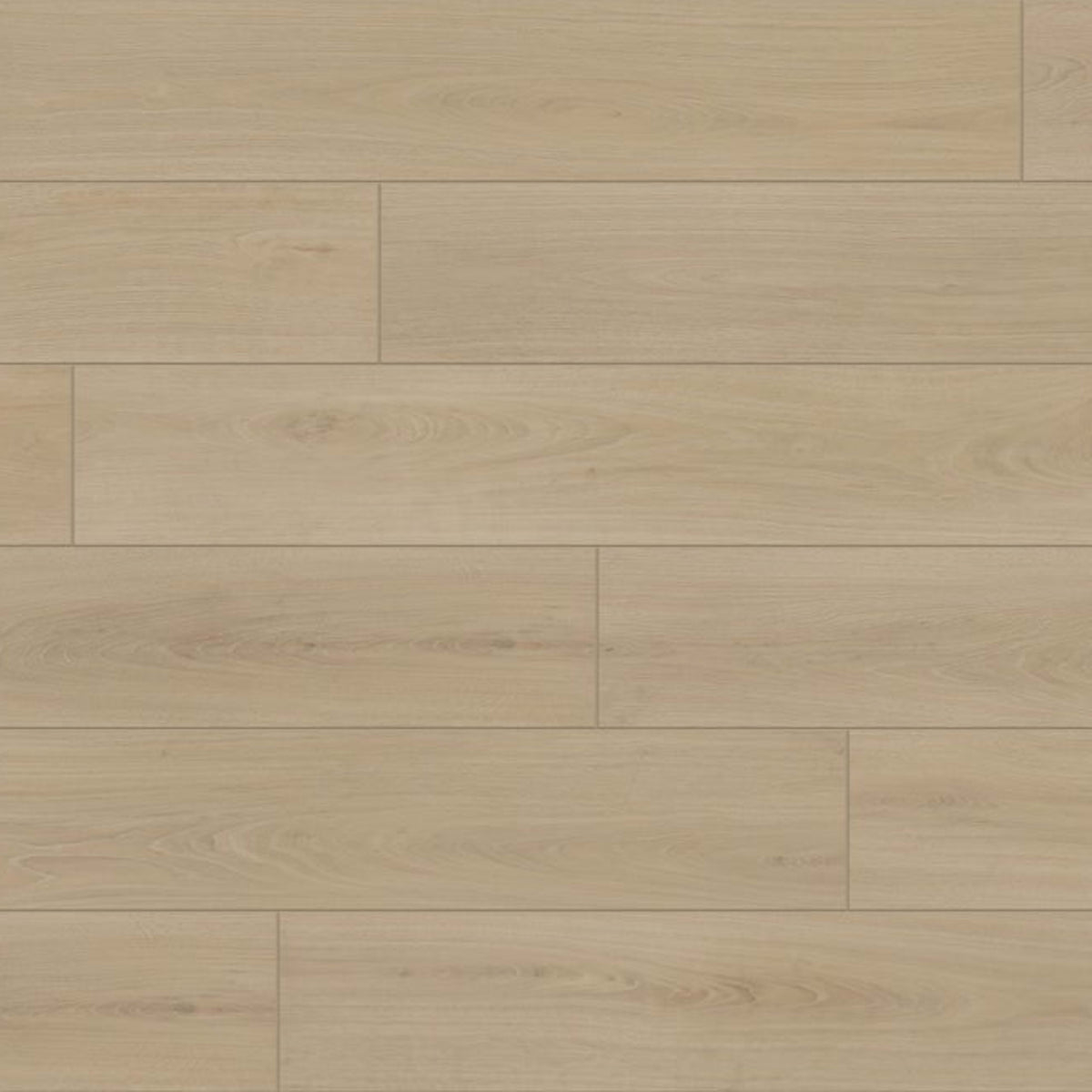 Evolved in Savona Laminate