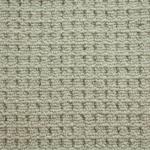 Sheffield in Taupe Carpet