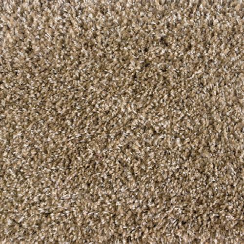 Shaggy Plush in Sand Carpet