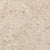 Shellstone in Amber-Mosaic Tile