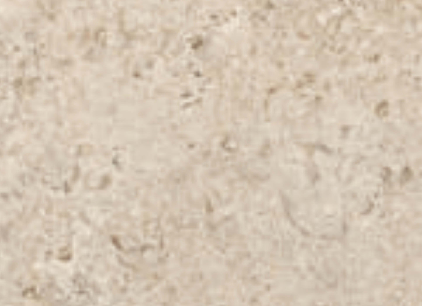 Shellstone in Amber-Mosaic
