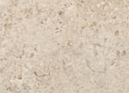 Shellstone in Amber-Mosaic