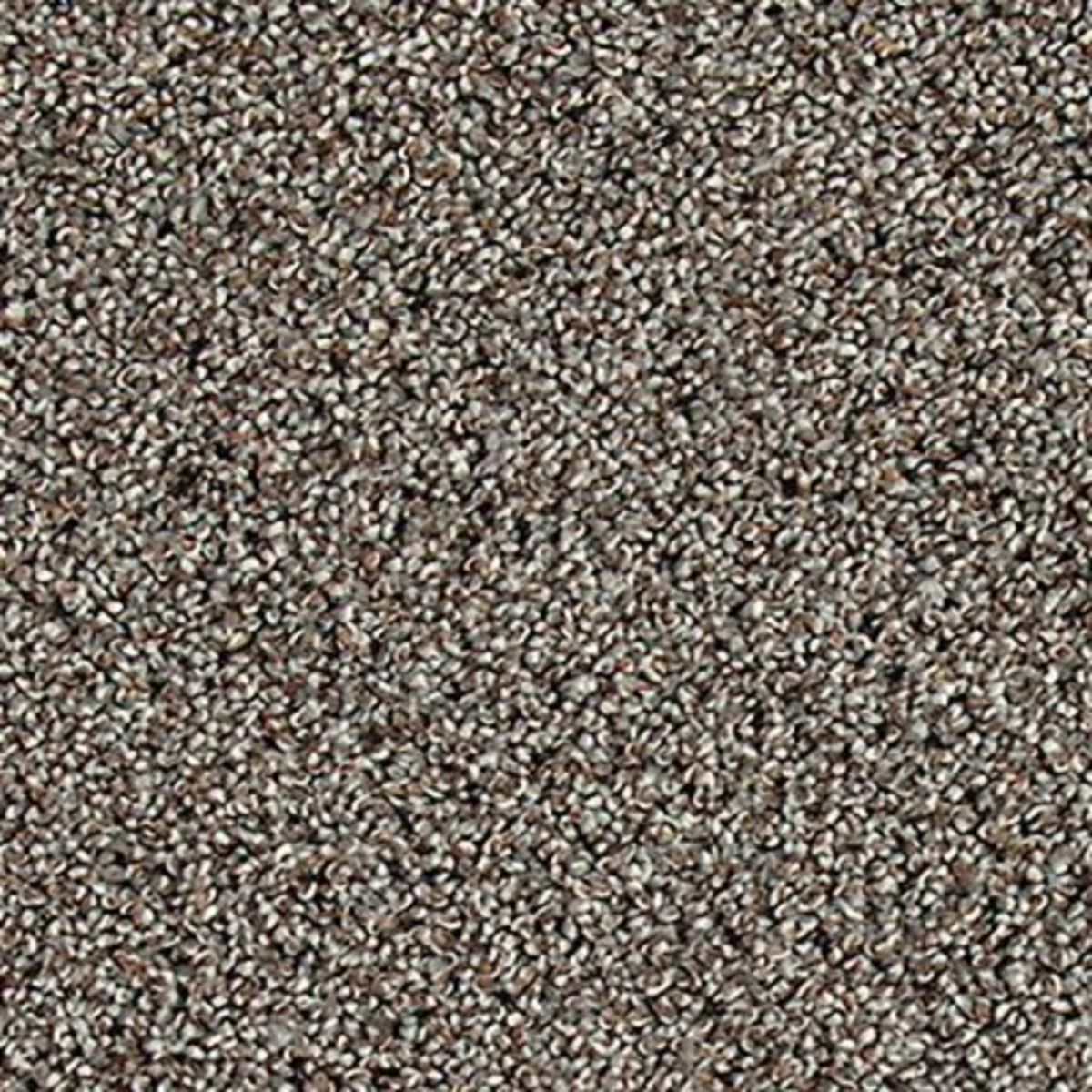Soft Description I in Retreat Carpet