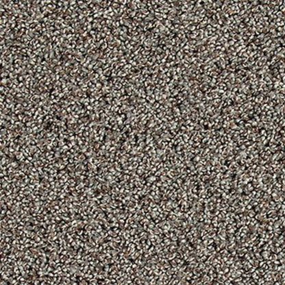 Soft Description I in Retreat Carpet