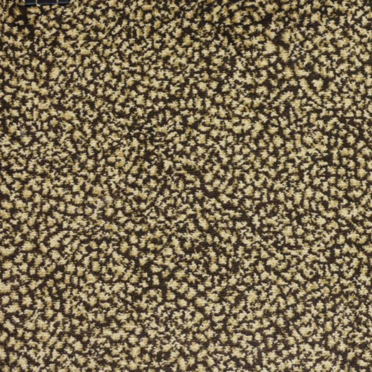 Sophisticated Skins in Napolean Carpet