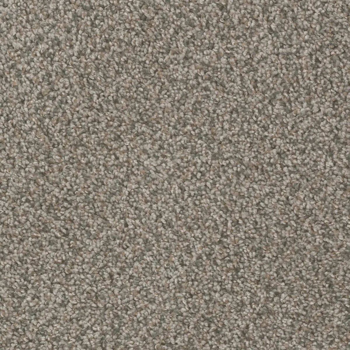 SP250