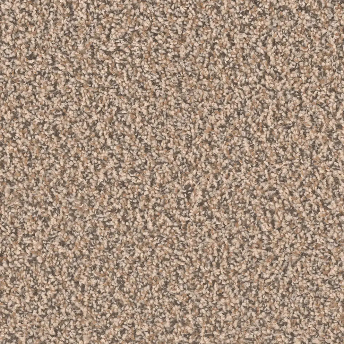 SP250