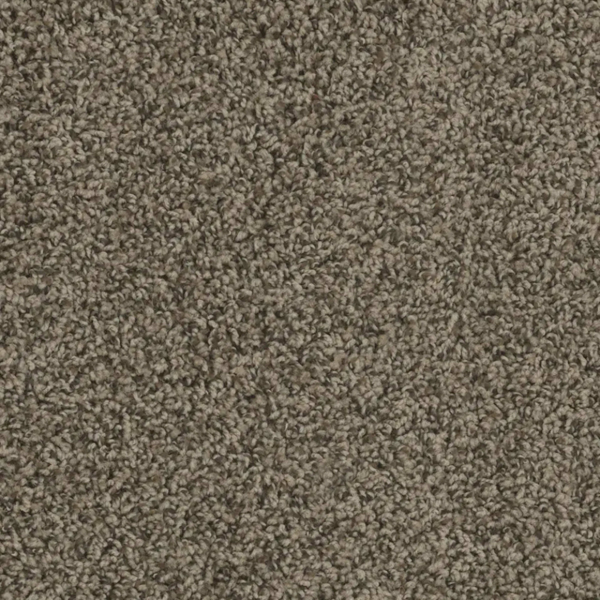 SP250