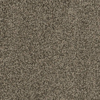 SP250