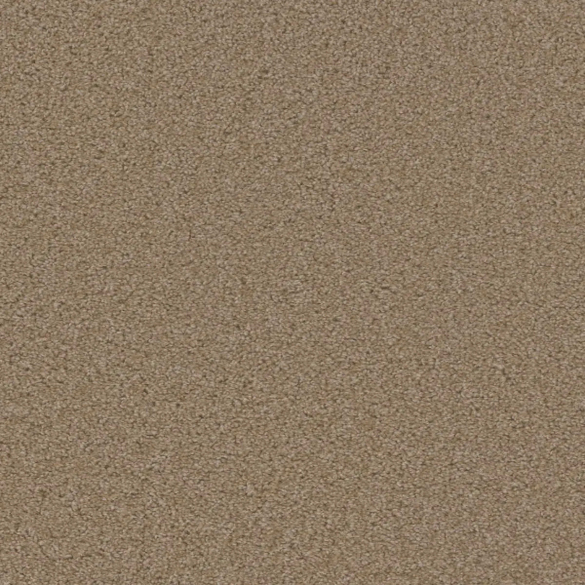 SP250 in Sawgrass Carpet