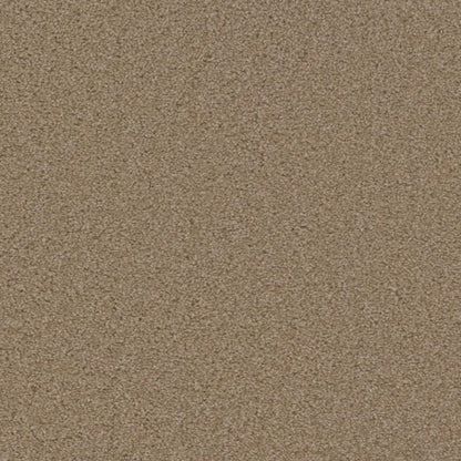 SP250 in Sawgrass Carpet