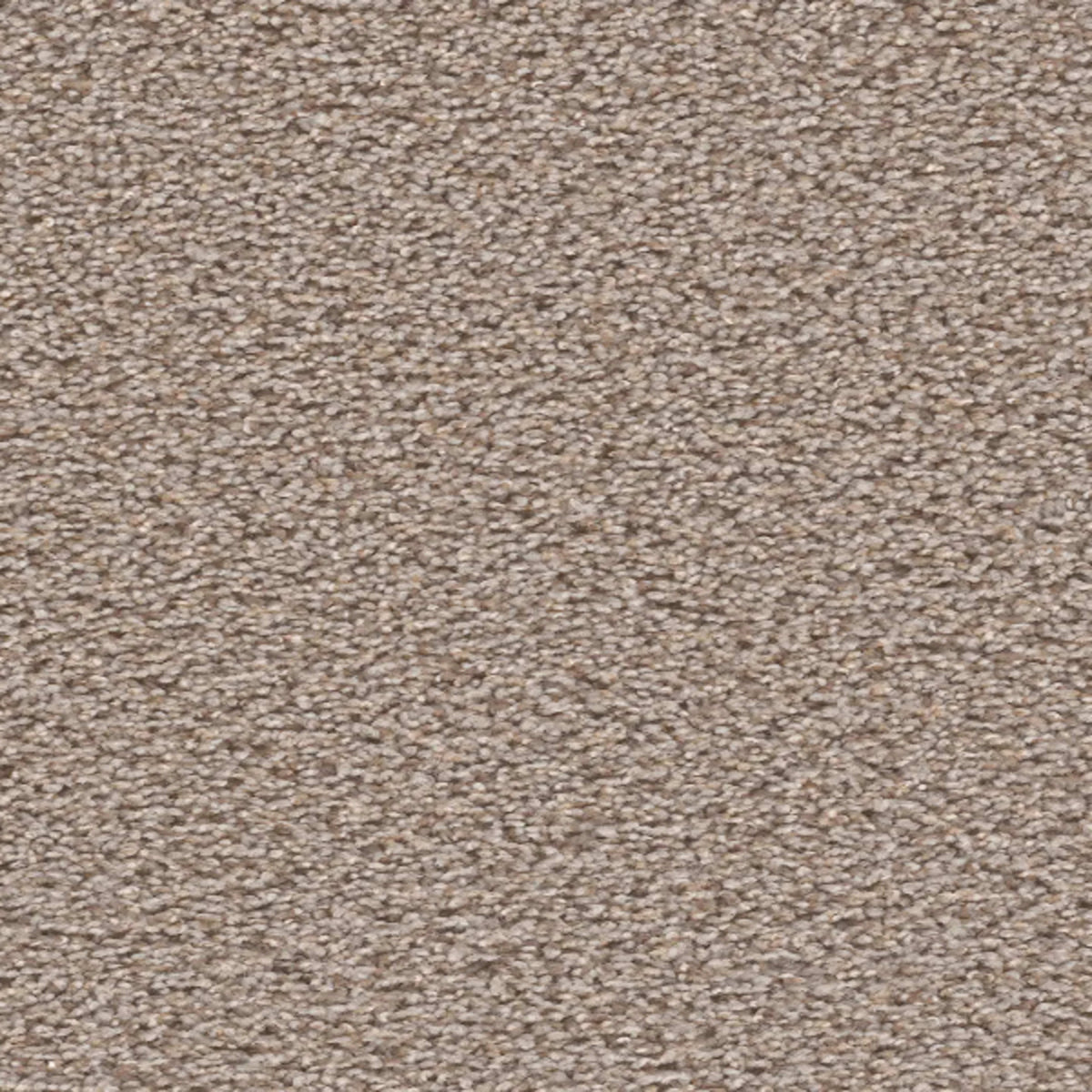 SP250