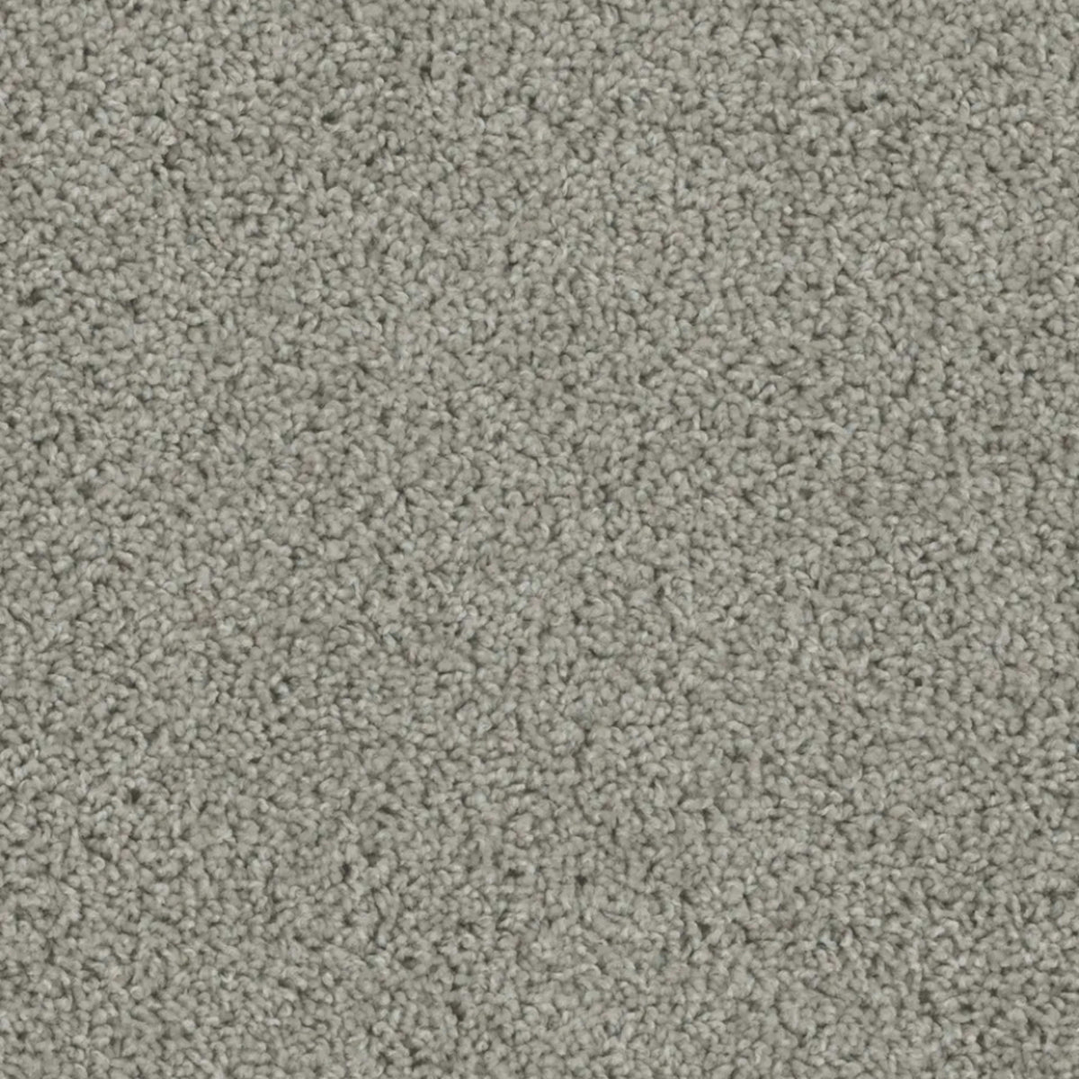 SP250