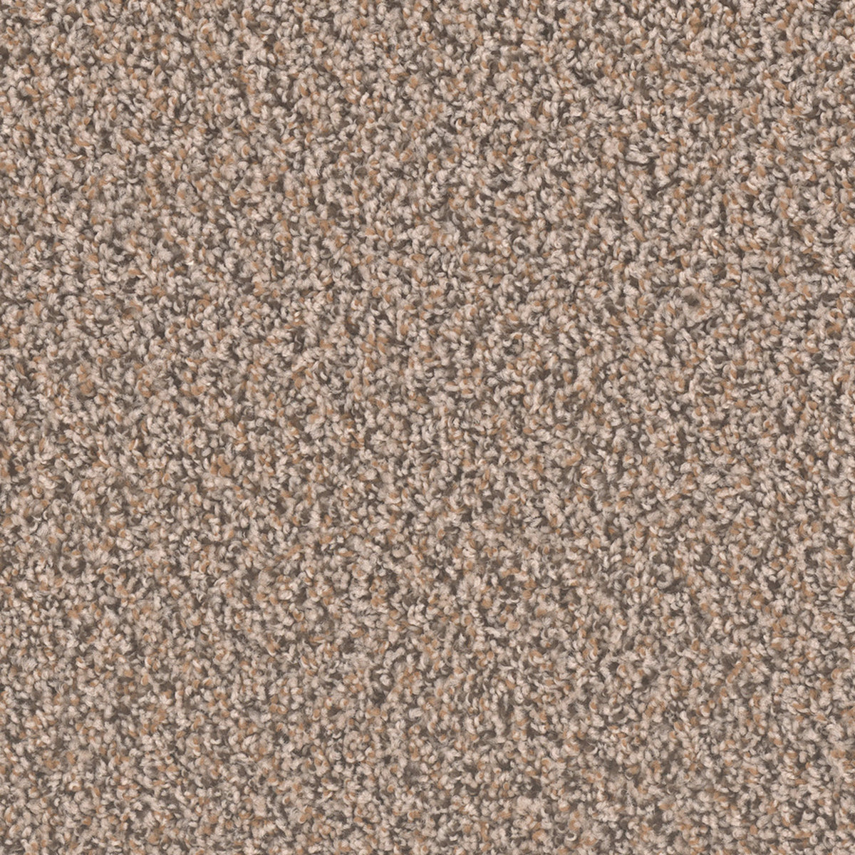 SP250