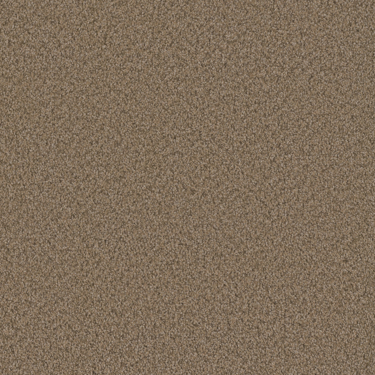 SP250