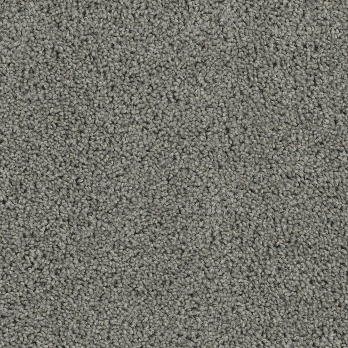 SP250