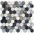 Surface Tech in Hex Black Canyon Natural Stone