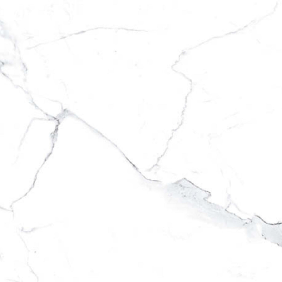 Statuario in Polished 12x24 Tile