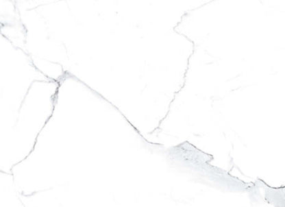 Statuario in Polished 12x24