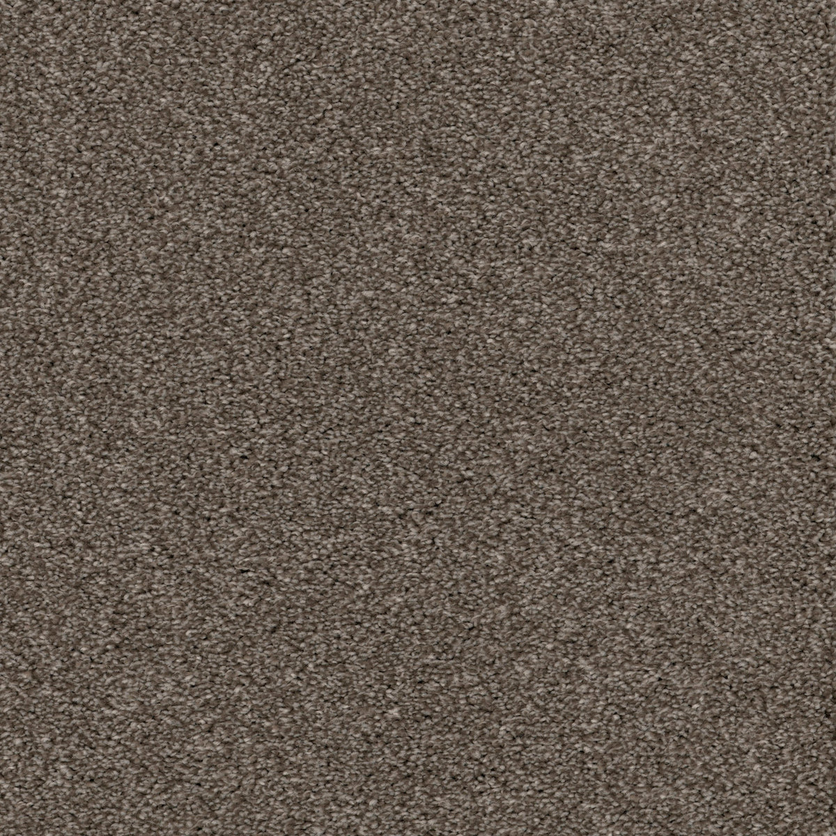 Allure in Shimmering Smoke Carpet