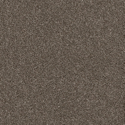 Allure in Shimmering Smoke Carpet