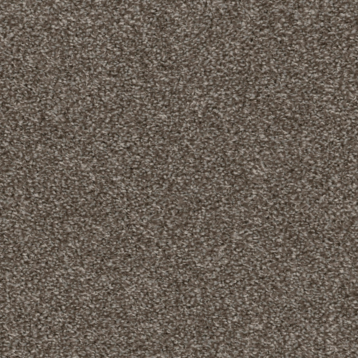 High Five in Silver Lining Carpet