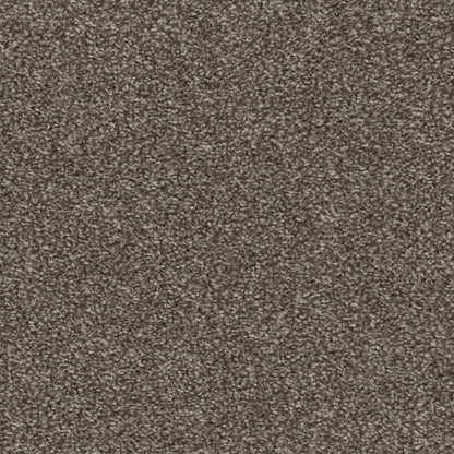 High Five in Silver Lining Carpet