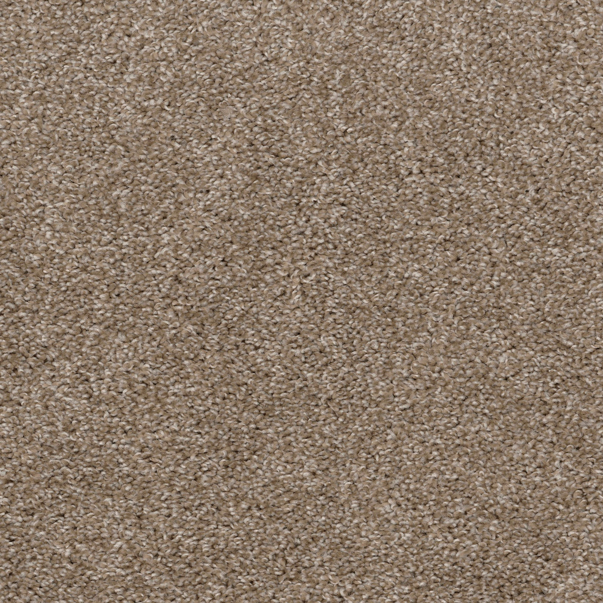 Top Gun in Cookies & Cream Carpet