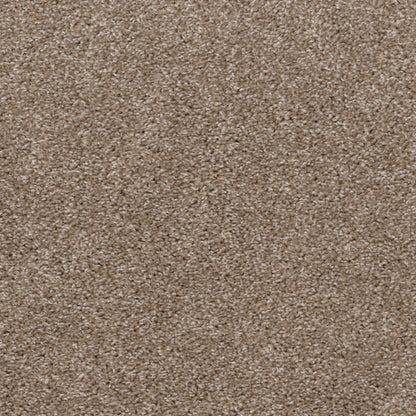 Top Gun in Cookies & Cream Carpet