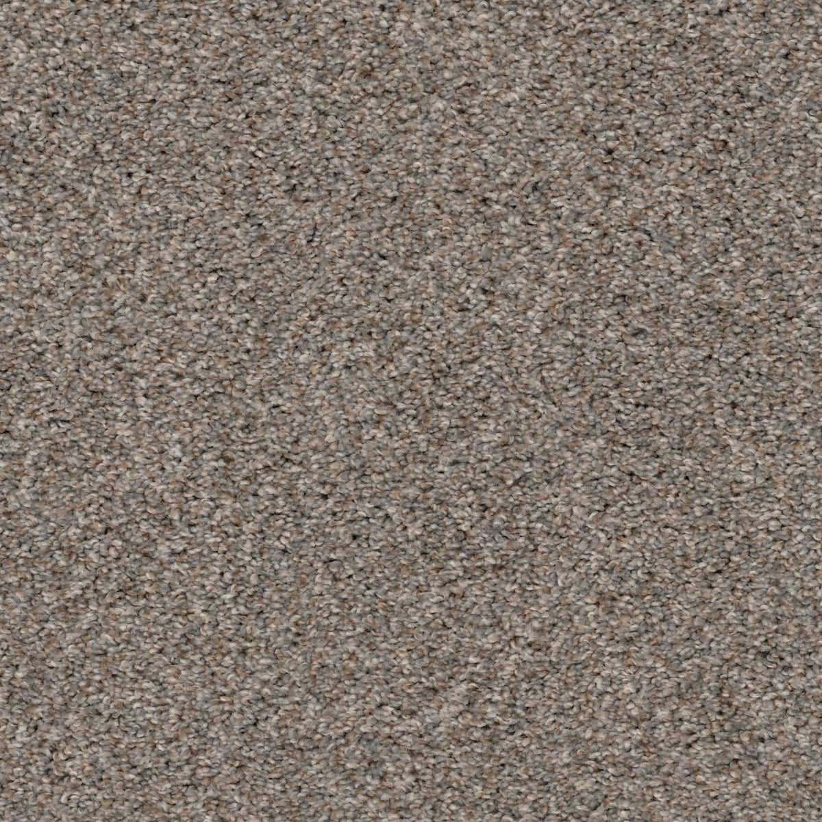 Urban in Trenton Carpet