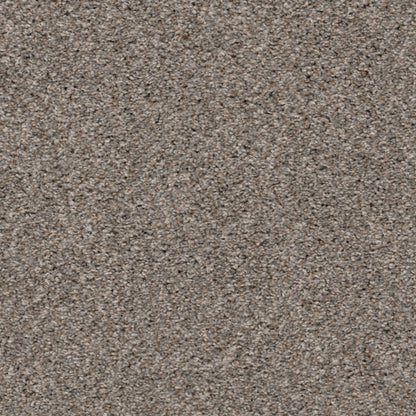 Urban in Trenton Carpet