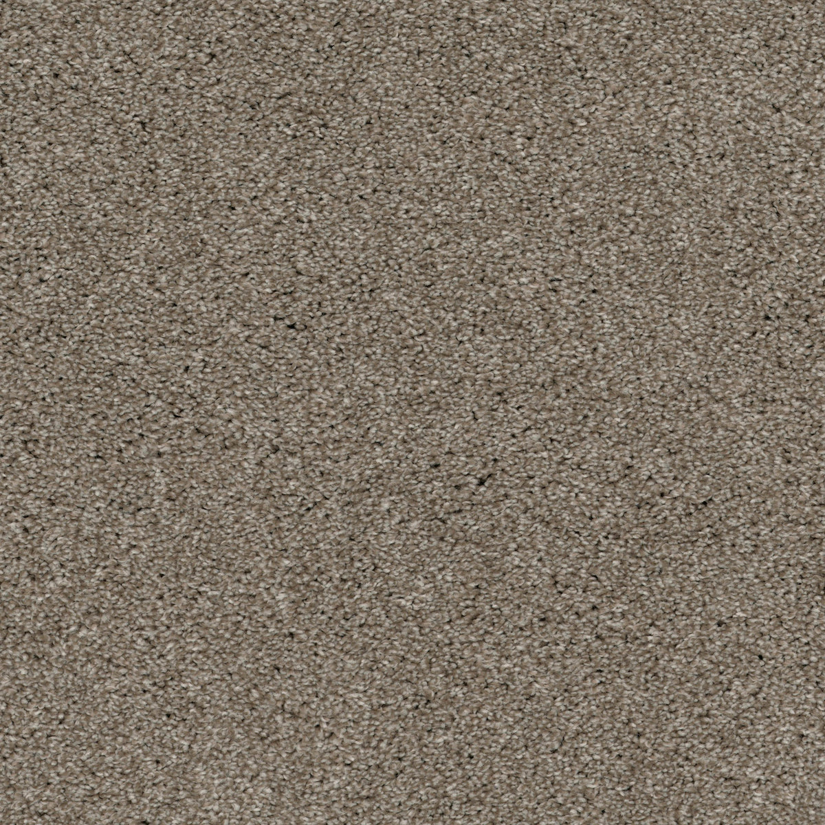 Yukon in Pebble Carpet