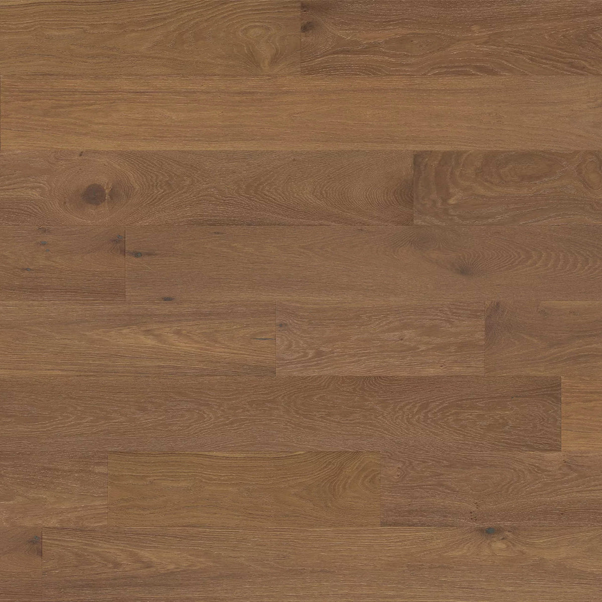 Sonoma Valley in Brunello Hardwood