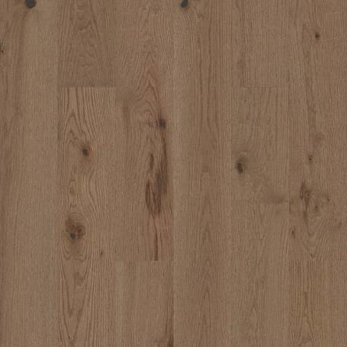 EXPLORATION OAK