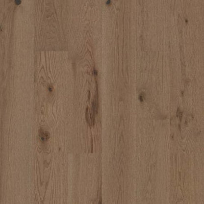 EXPLORATION OAK