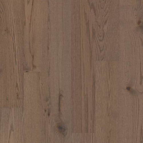 EXPLORATION OAK