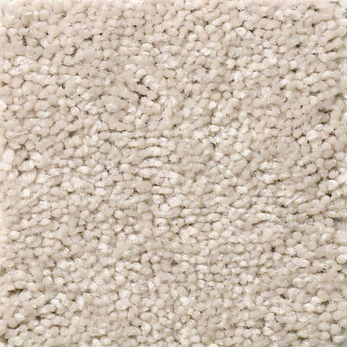 Windsor (S) in Sweet Vanilla Carpet