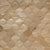 Wall -  Inceptiv - Metamorphosis in Sand Hardwood