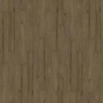 Innovious - Curio in Salem Elm Luxury Vinyl