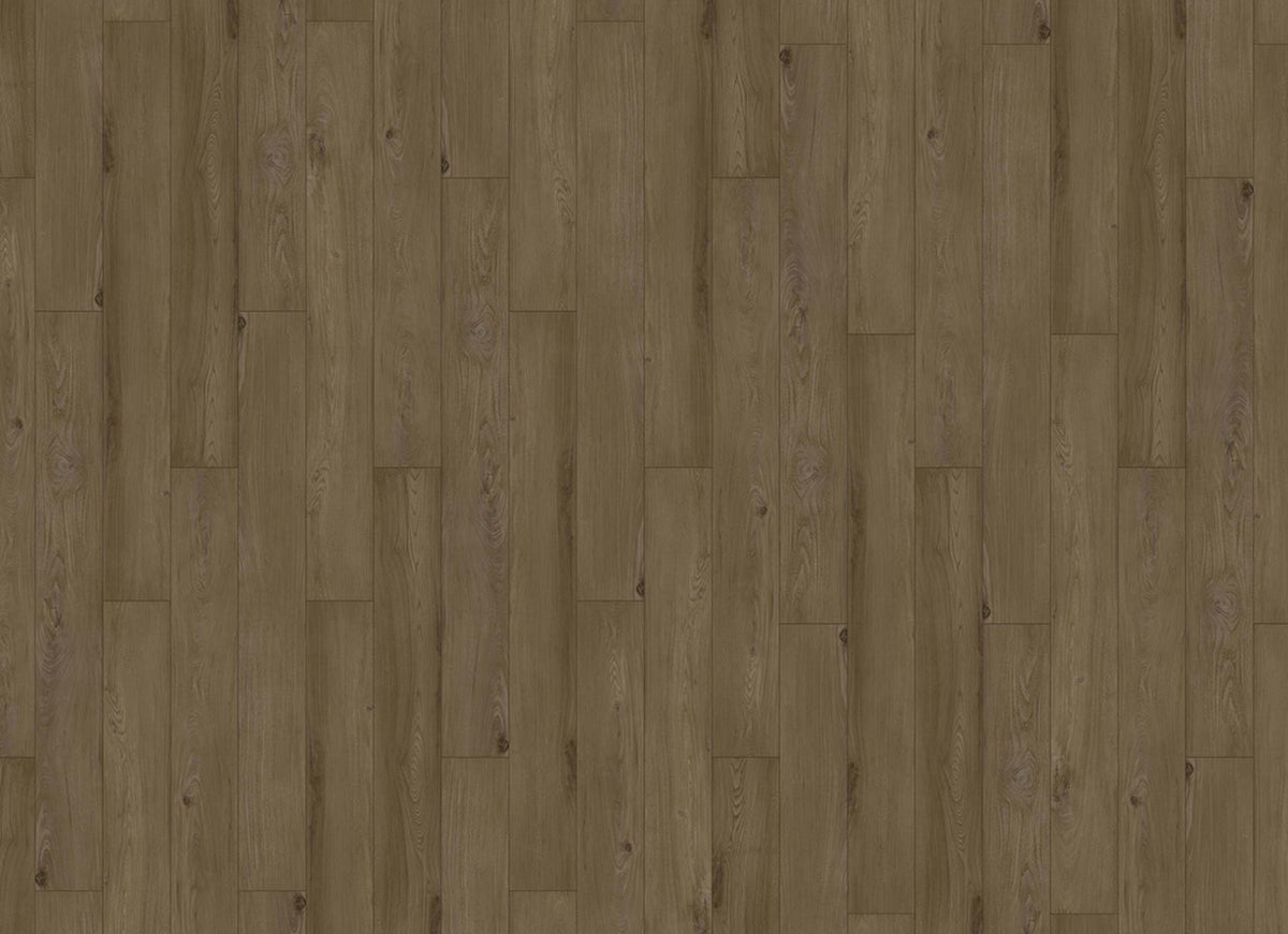 Innovious - Curio in Salem Elm