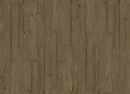 Innovious - Curio in Salem Elm