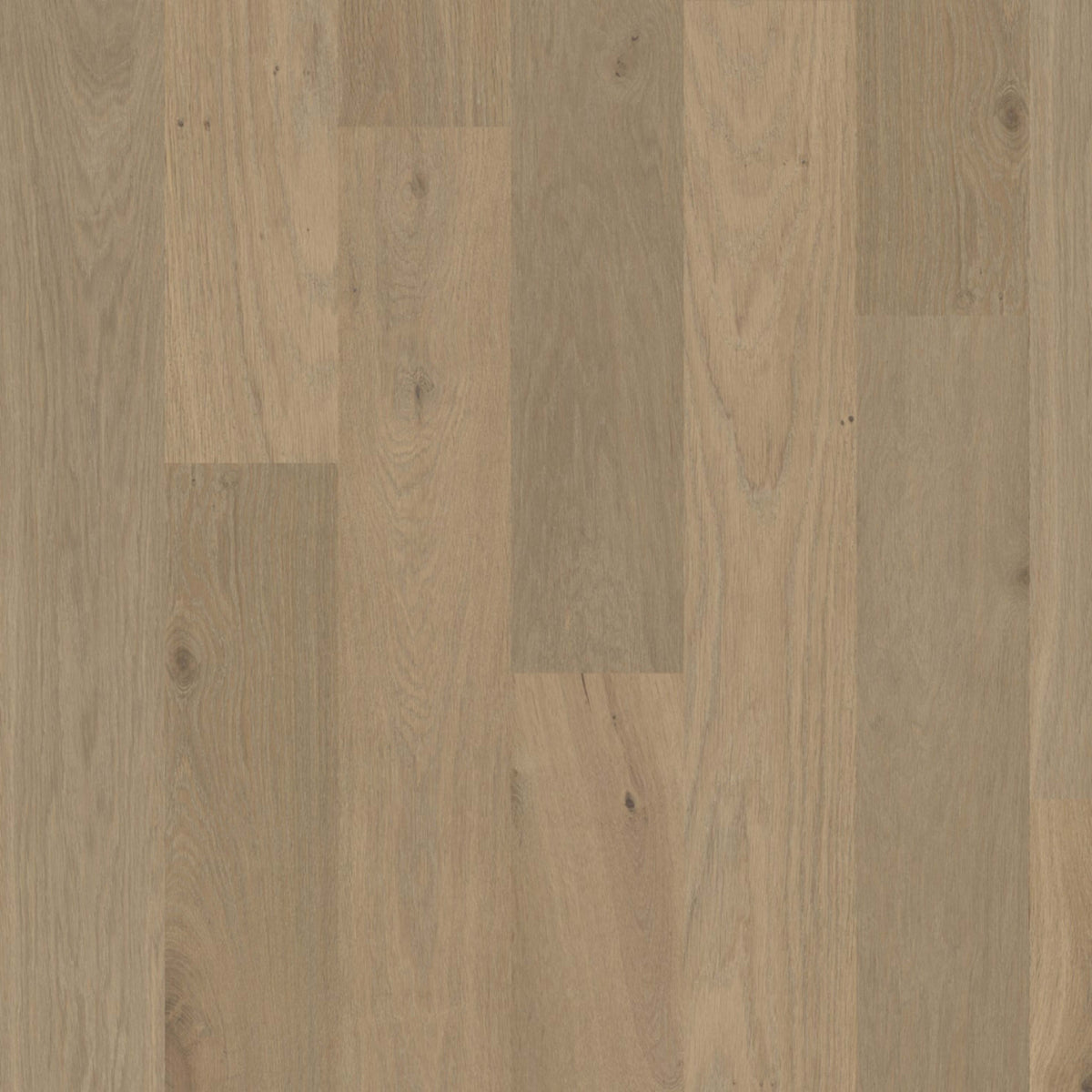 Terra in Savanna Hardwood