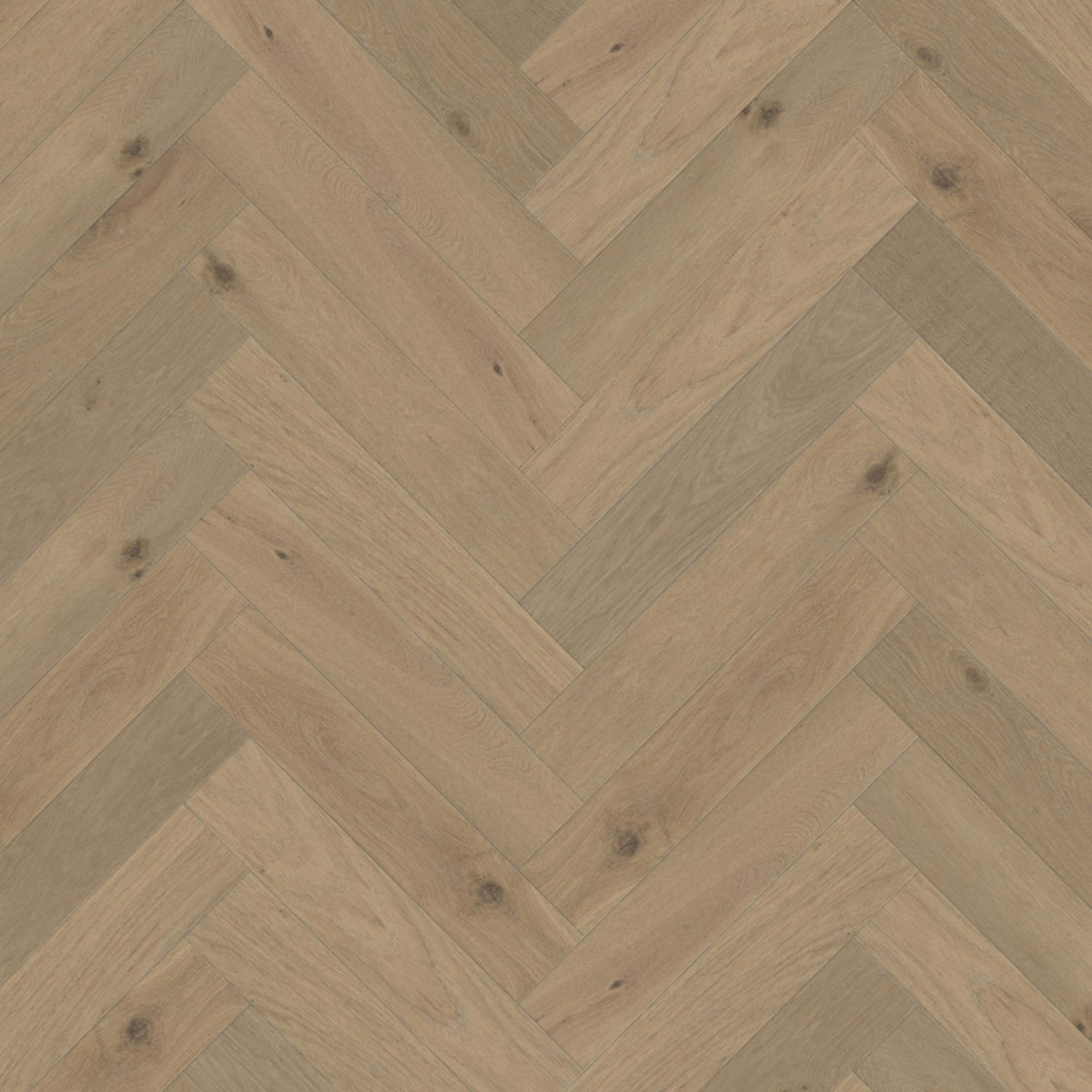 Terra in Savanna Herringbone Hardwood