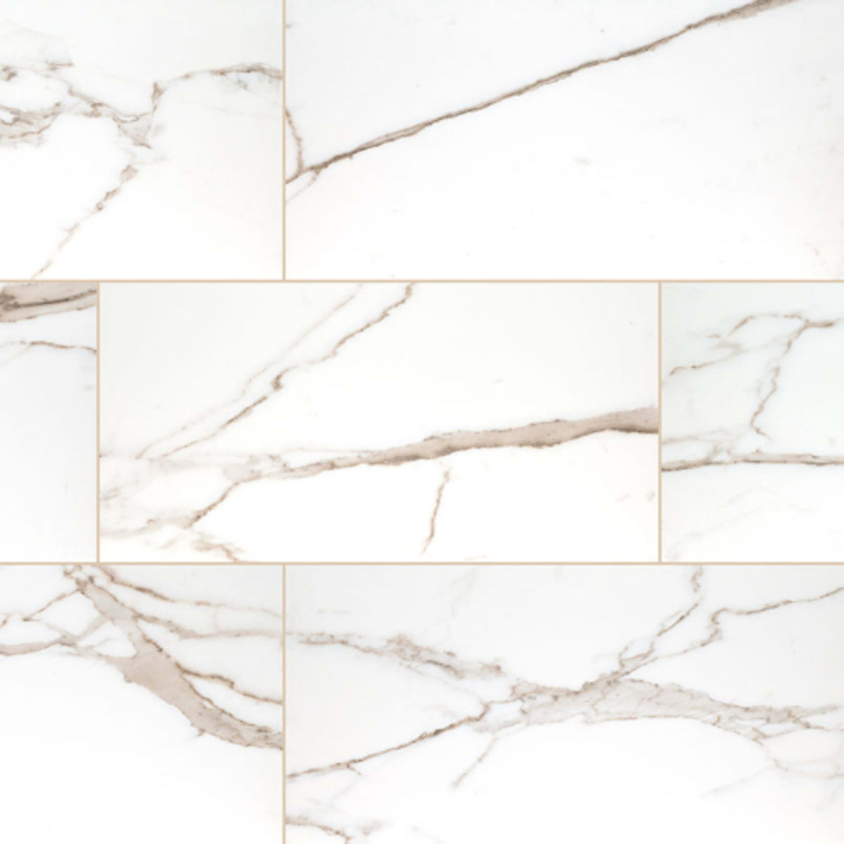 Savoy in Crema - 24x48 Matte Tile